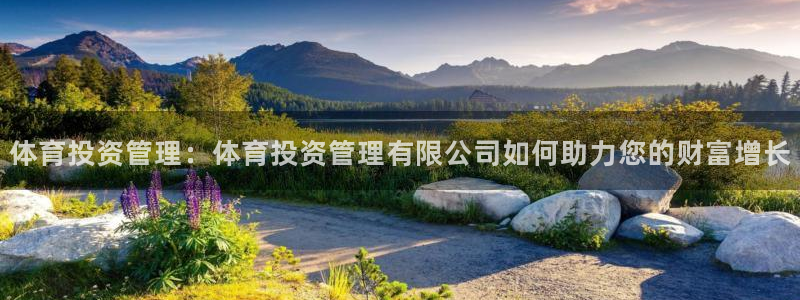 必一体育sport官