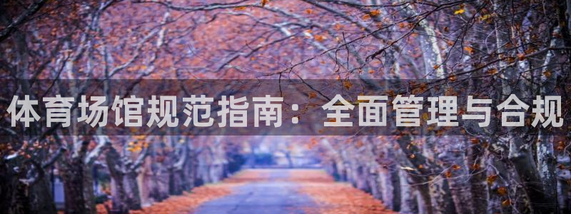 必一体育电子app：