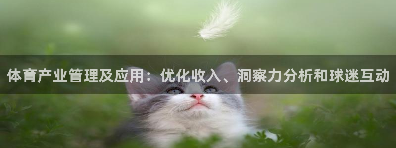 必一体育运动下载：体