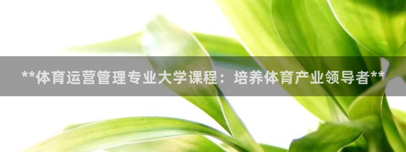 必一体育下载秀给网：