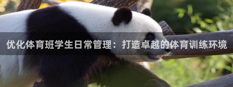 必一体育bsport