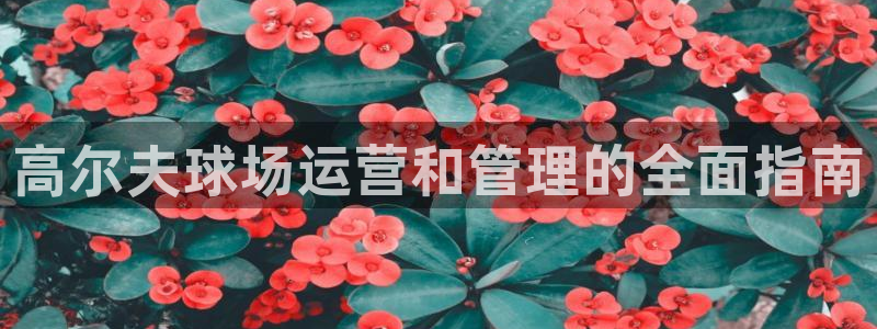 必一体育官方入口：高