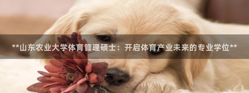 必一体育是啥：**山