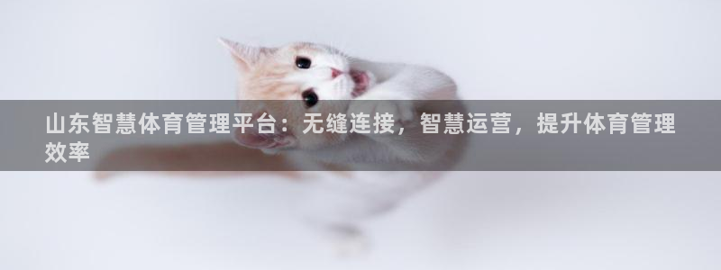 氵必一一厂一：山东智