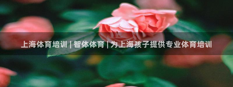 必一体育服下载最新版