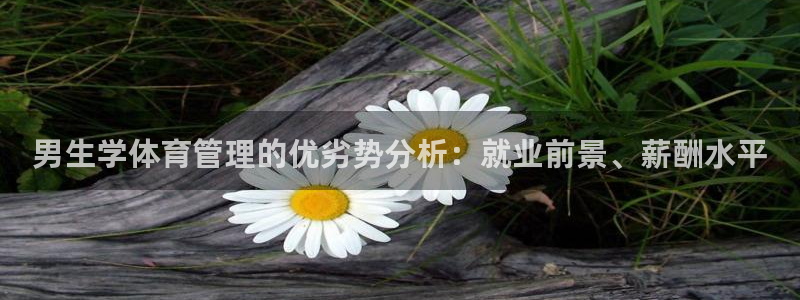 必一体育sportB