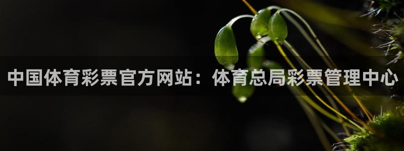 必一体育app下载最