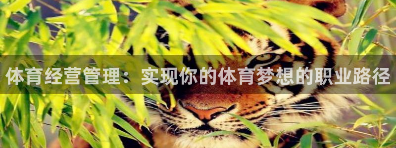 必一体育sport网