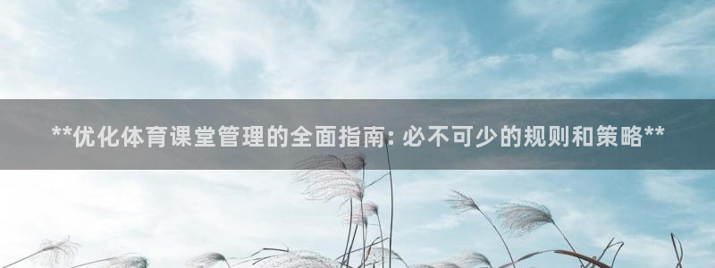必一运动体育官网下载