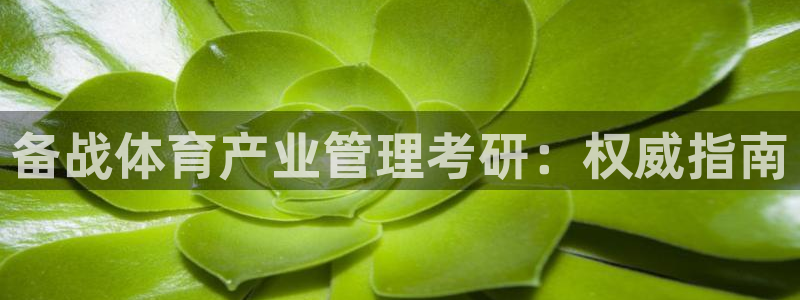b体育必一运动网页版