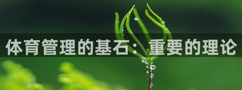 必一体育官方下载入口