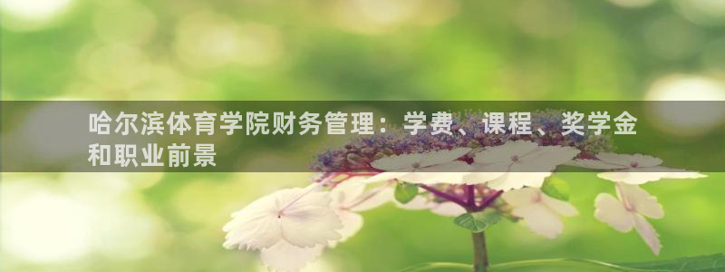 必一体育app官方网
