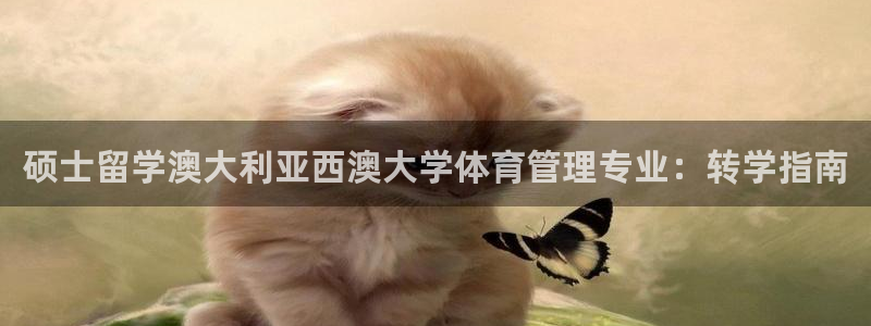 必一运动体育官网下载