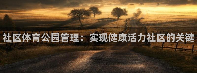 必一体育没了：社区体