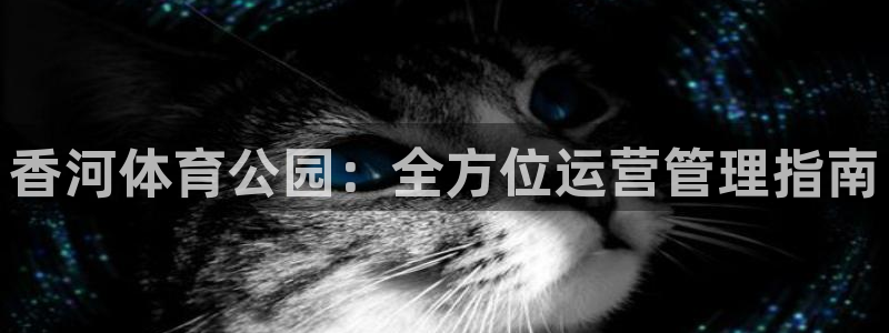 必一体育登录APP下