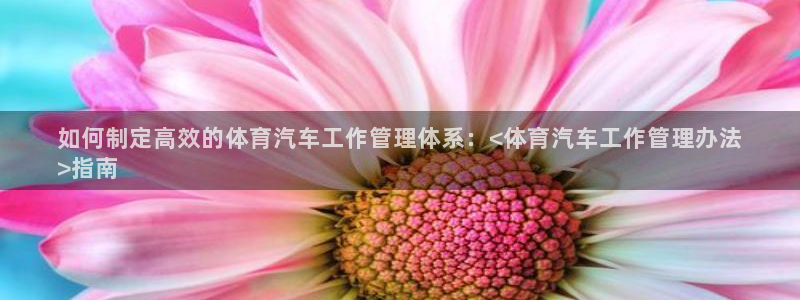b体育必一运动网页版