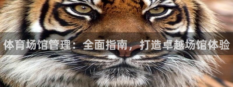 必一运动tieba.