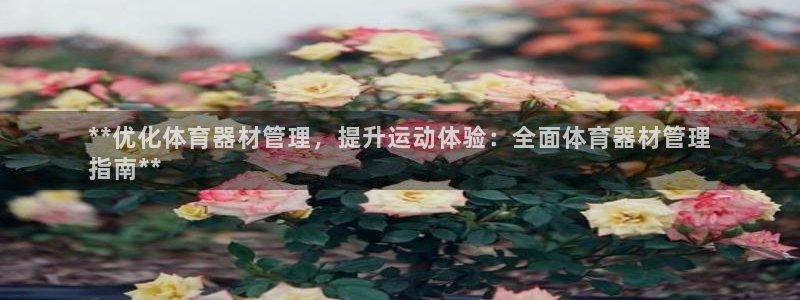 必一体育在线下载：*
