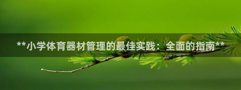 必一体育平台：**小