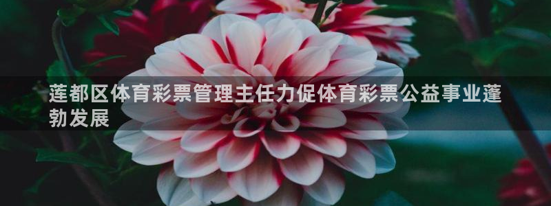 必一体育APP：莲都