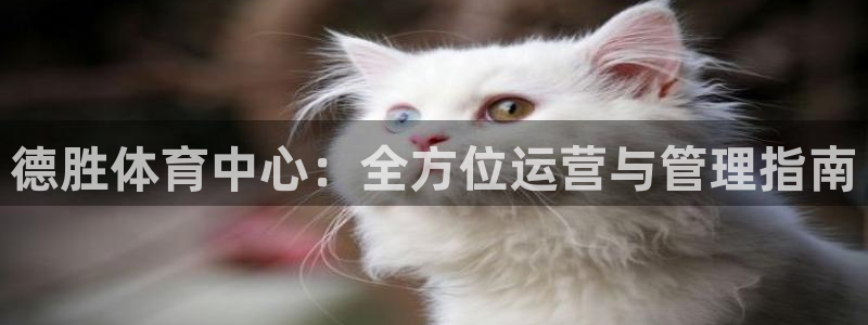 必一体育下载一样吗：