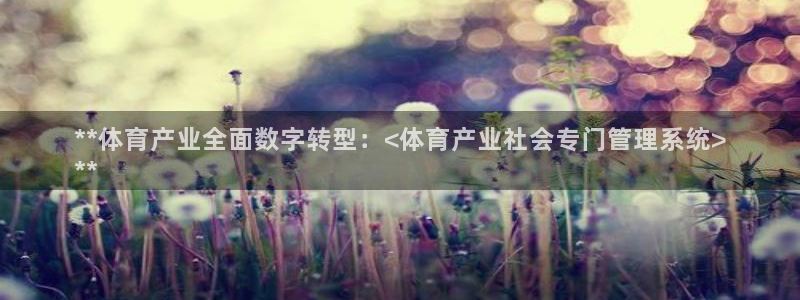 必一体育在线玩：**