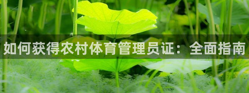 必一体育登录：如何获