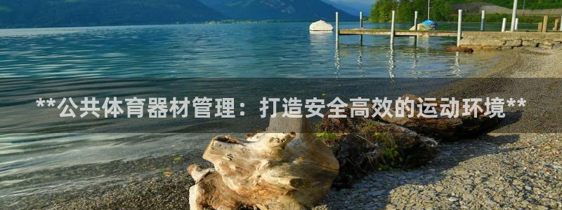 必一体育在线登录：*