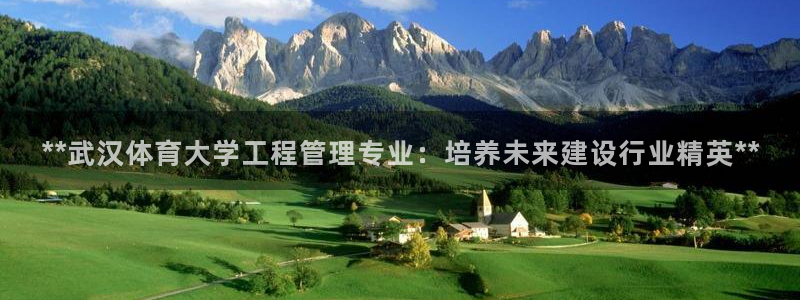 必一体育下载app：