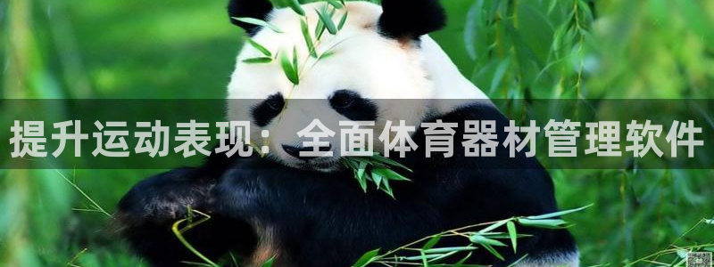 必一体育：提升运动表