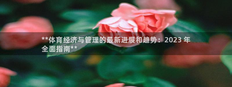 必一体育sportB