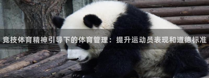 b体育必一下载：竞技