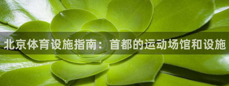 必一体育登入：北京体