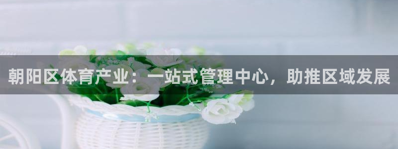 必一体育在哪下：朝阳