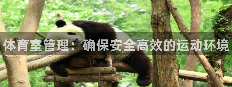 必一体育sport网