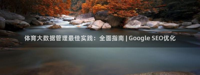 必一运动听的歌：体育