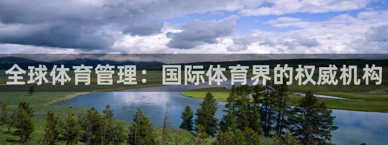 必一体育官方网站入口
