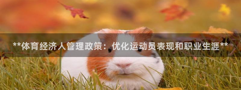 必一运动听的歌：**