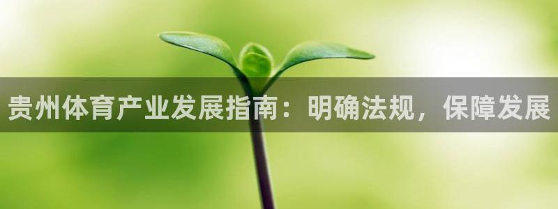 必一体育官网ios下