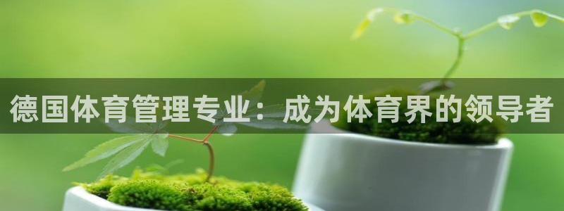 必一体育合法吗：德国