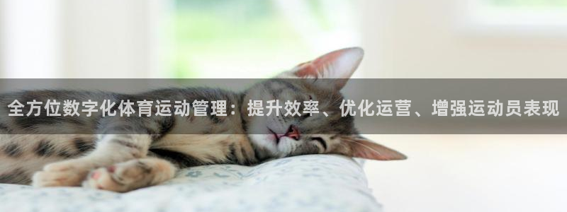 必一运动·体育：全方