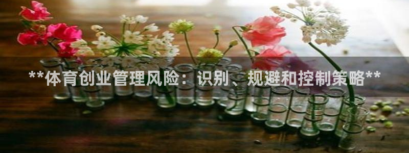 **体育创业管理风险