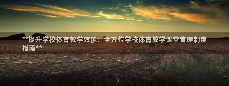 必一体育手机下载：*
