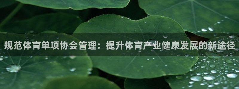 必一运动体：规范体育