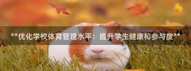 **优化学校体育管理