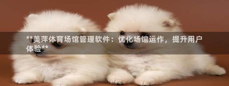 必一运动：**美萍体