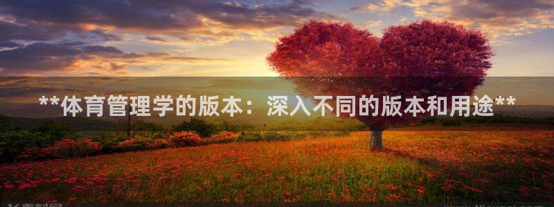 Bsport体育必一