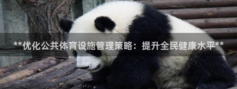 必一体育bsport