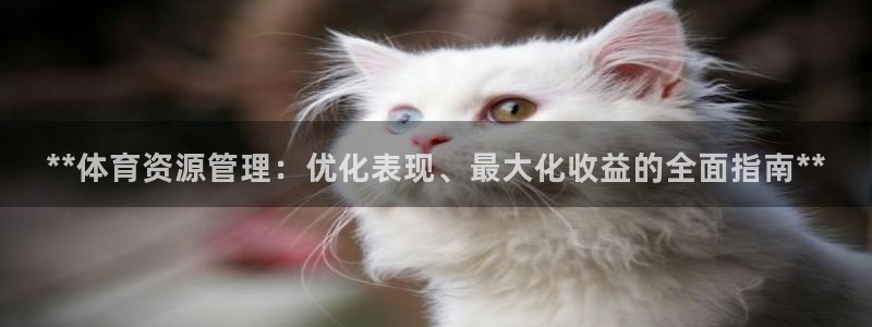 必一体育官方入口：*