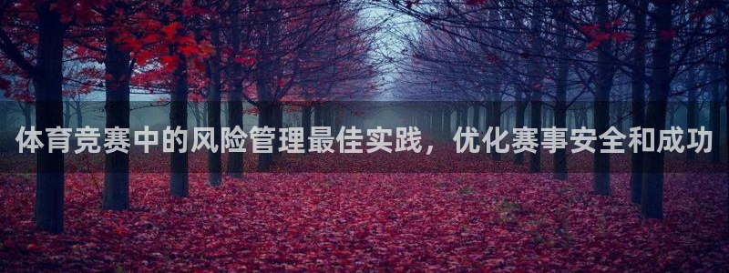 必一运动 b 体育素